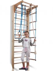 Дитячий спортивний куточок SportBaby Kombi 2-240